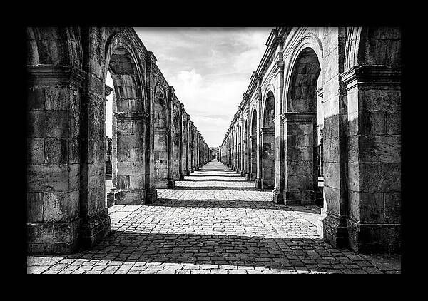 Arcade Succession Arches