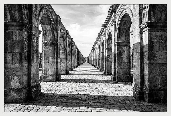 Arcade Succession Arches
