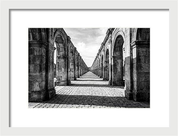 Arcade Succession Arches