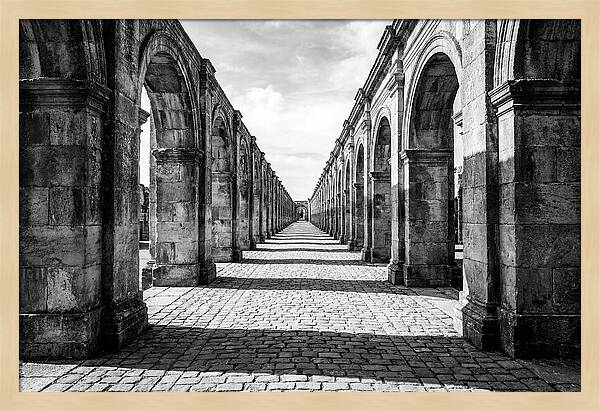Arcade Succession Arches