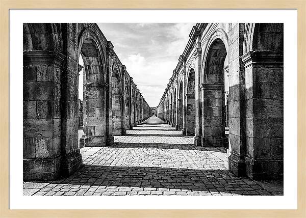 Arcade Succession Arches