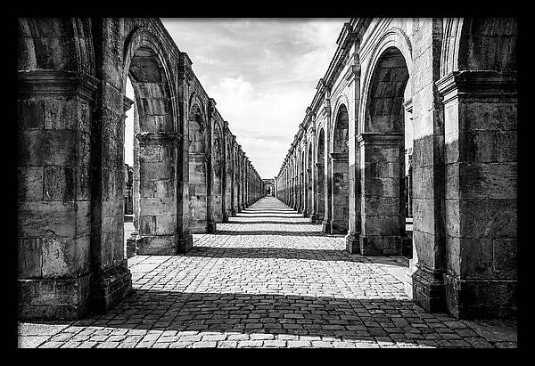 Arcade Succession Arches