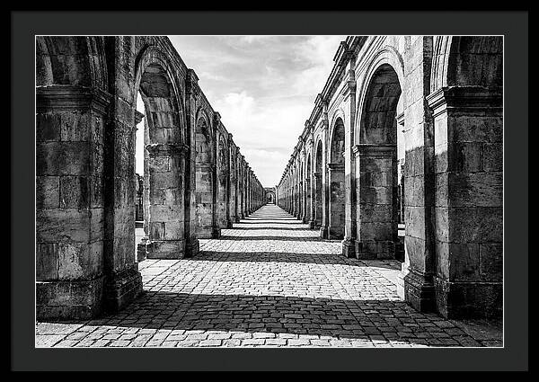 Arcade Succession Arches
