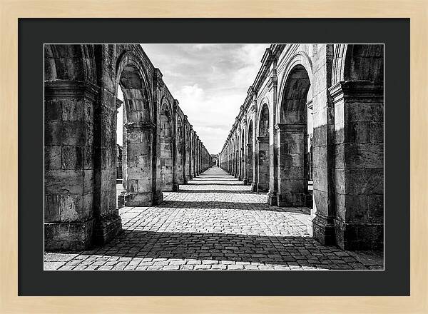 Arcade Succession Arches