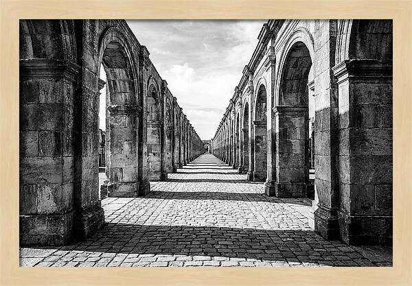Arcade Succession Arches