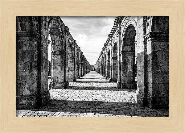 Arcade Succession Arches