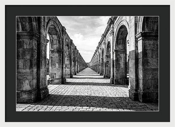Arcade Succession Arches