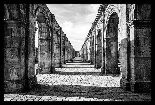 Arcade Succession Arches