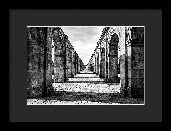 Arcade Succession Arches