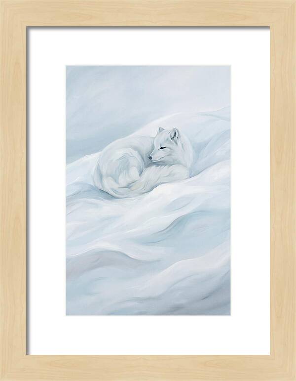 Arctic Fox In Winter Serenity