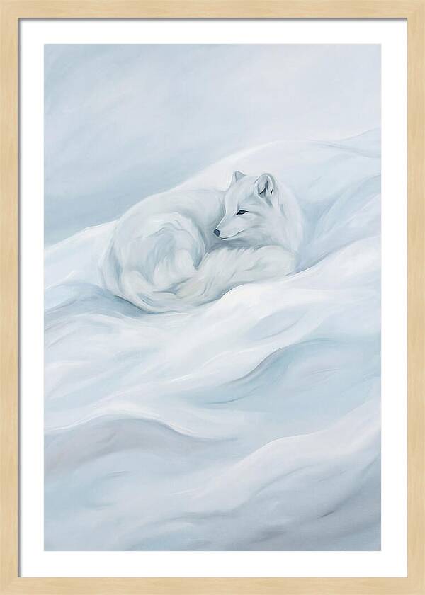 Arctic Fox In Winter Serenity