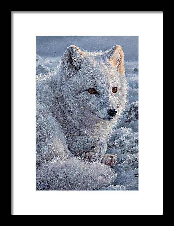 Arctic Fox Serenity