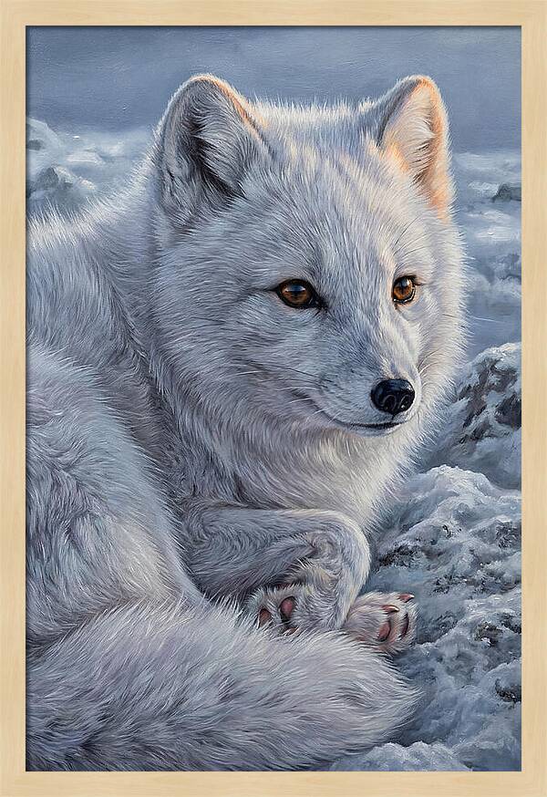 Arctic Fox Serenity