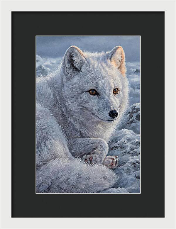 Arctic Fox Serenity