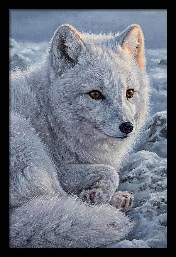 Arctic Fox Serenity