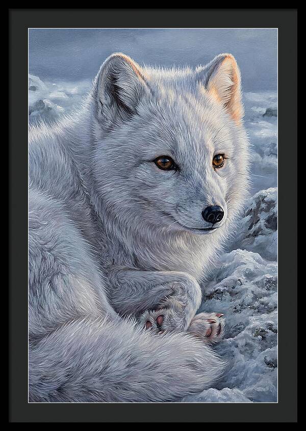 Arctic Fox Serenity