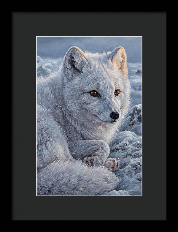 Arctic Fox Serenity