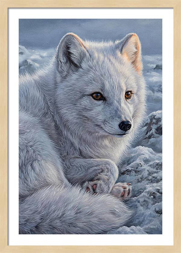 Arctic Fox Serenity