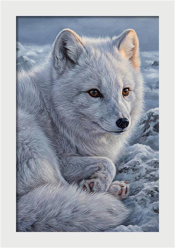 Arctic Fox Serenity