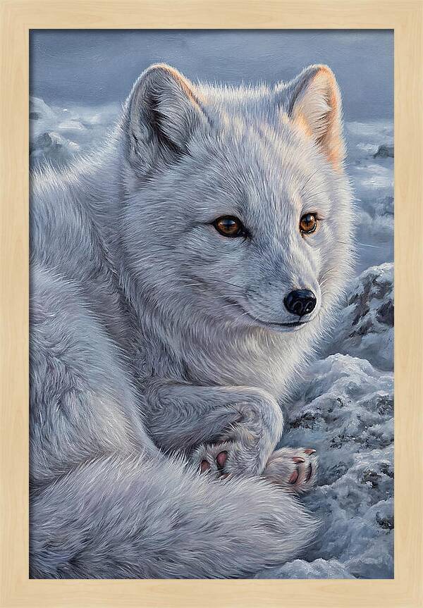 Arctic Fox Serenity