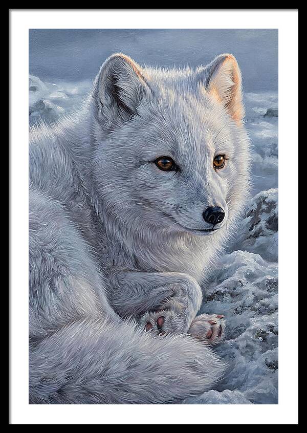 Arctic Fox Serenity