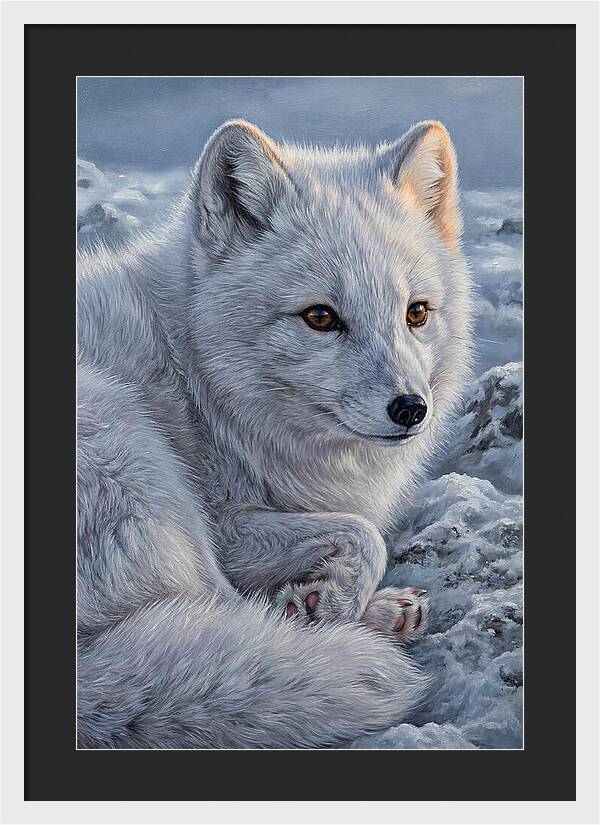 Arctic Fox Serenity