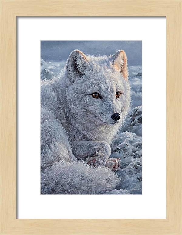 Arctic Fox Serenity