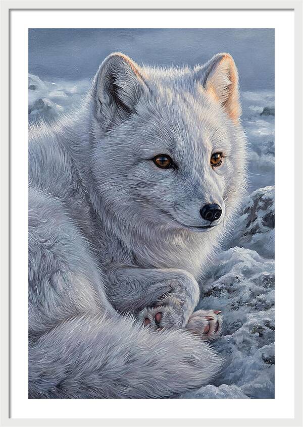 Arctic Fox Serenity