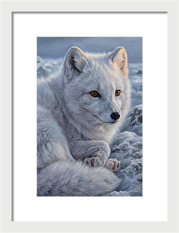 Arctic Fox Serenity