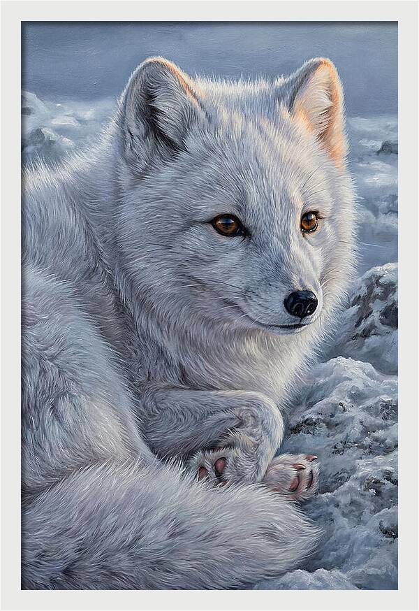 Arctic Fox Serenity