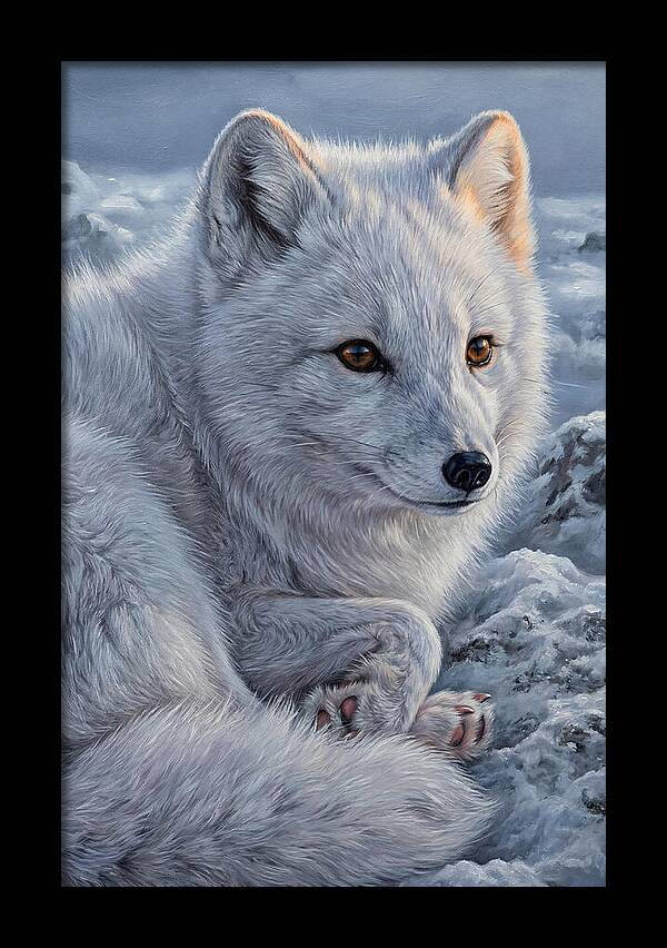 Arctic Fox Serenity