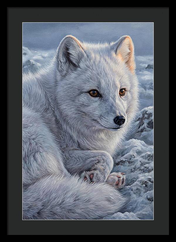 Arctic Fox Serenity