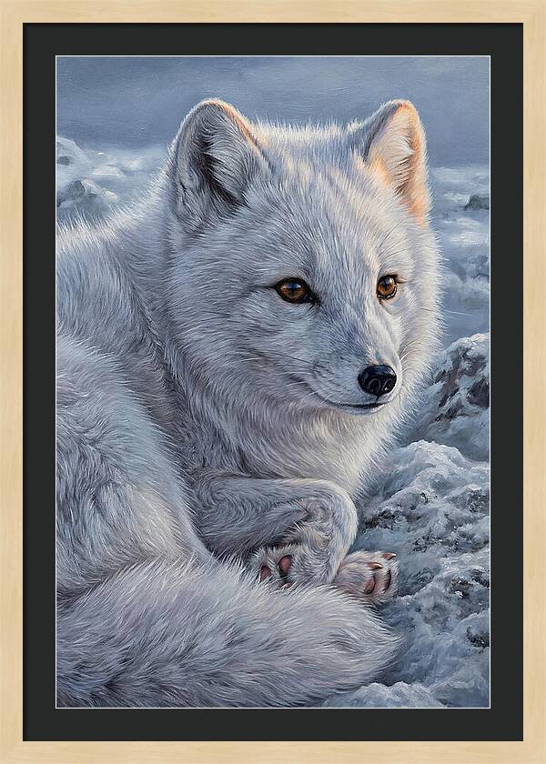 Arctic Fox Serenity