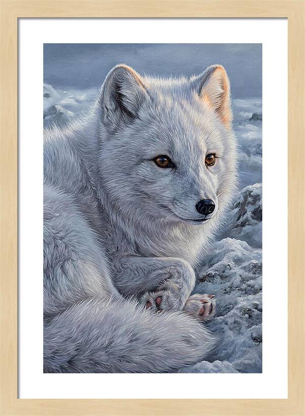 Arctic Fox Serenity