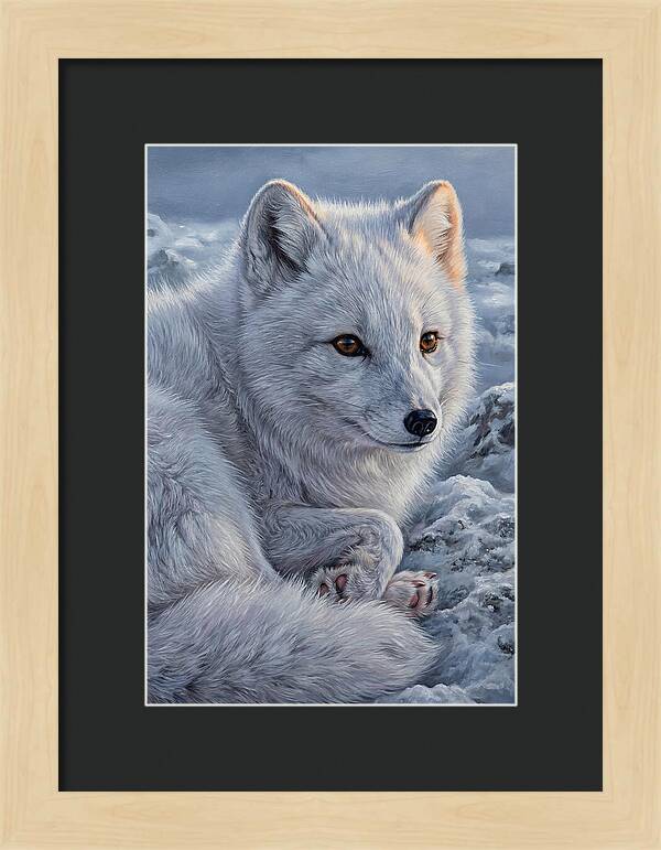 Arctic Fox Serenity