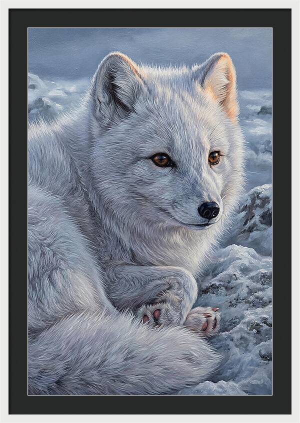 Arctic Fox Serenity
