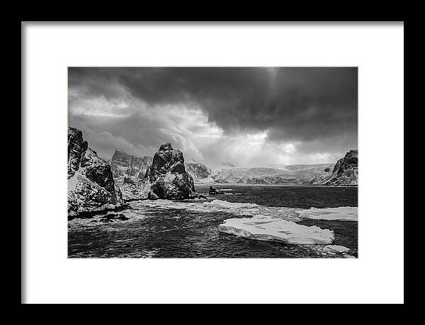 Arctic Majesty In Monochrome