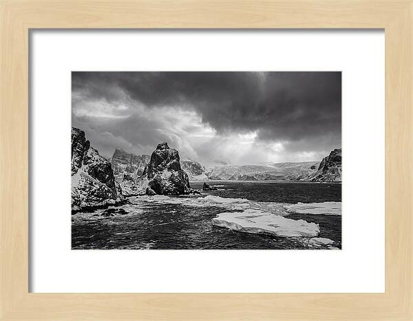 Arctic Majesty In Monochrome