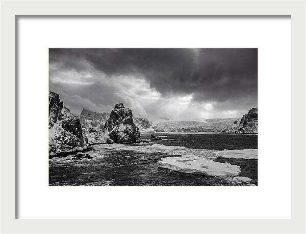 Arctic Majesty In Monochrome