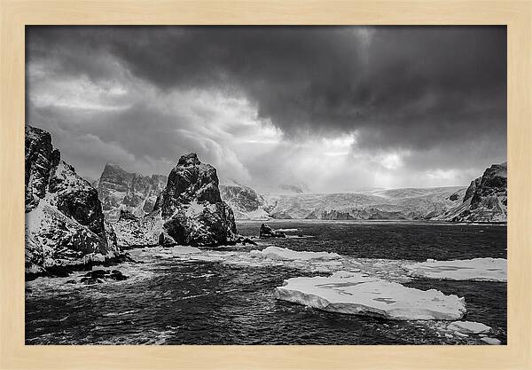 Arctic Majesty In Monochrome