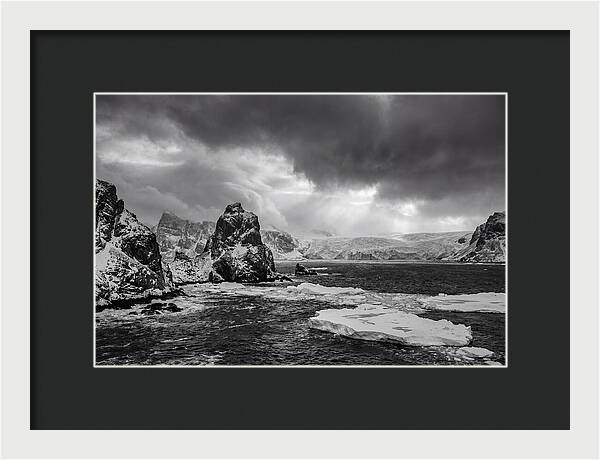 Arctic Majesty In Monochrome