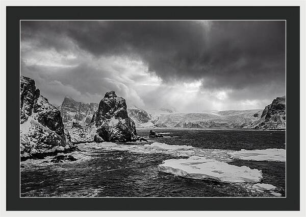 Arctic Majesty In Monochrome