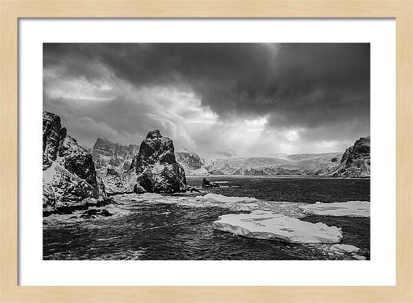 Arctic Majesty In Monochrome