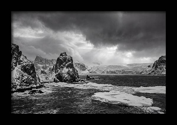 Arctic Majesty In Monochrome