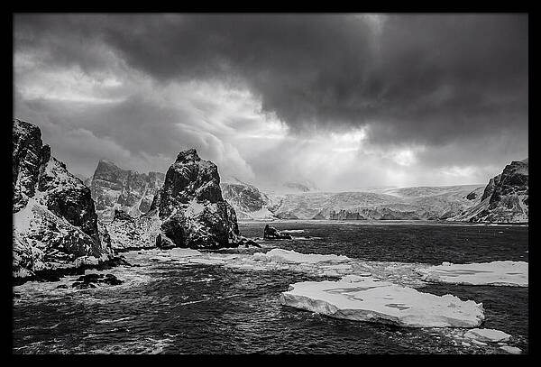Arctic Majesty In Monochrome