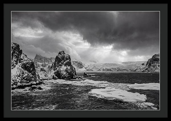 Arctic Majesty In Monochrome
