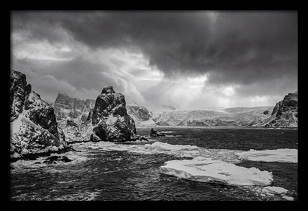 Arctic Majesty In Monochrome