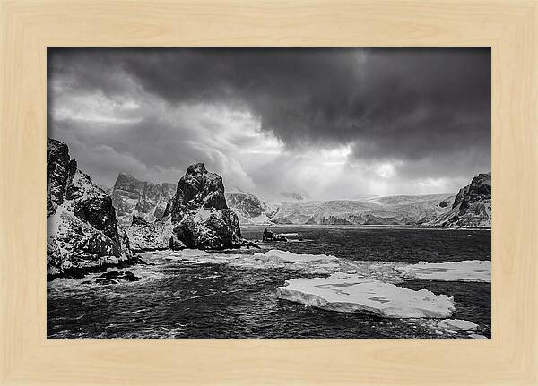 Arctic Majesty In Monochrome
