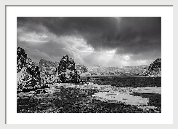 Arctic Majesty In Monochrome