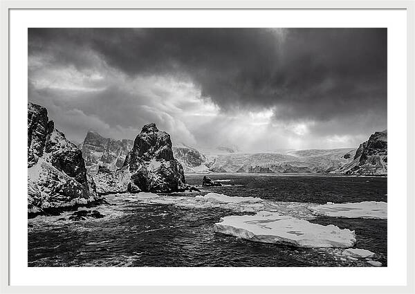 Arctic Majesty In Monochrome
